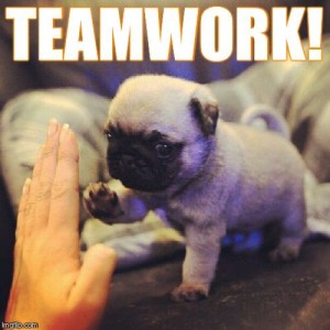Teamwork with kids to write a novel