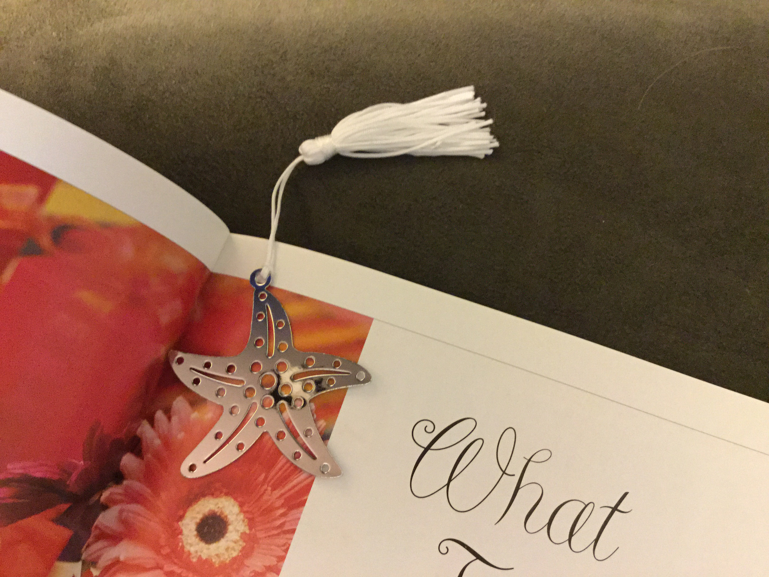 A silver starfish bookmark resting in an open book