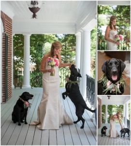Dogs at an outdoor wedding in Atlanta