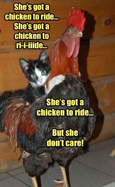 Misunderstood song lyrics beatles Chicken to Ride