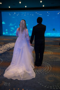 Bride and groom at GA Aquarium wedding ceremony