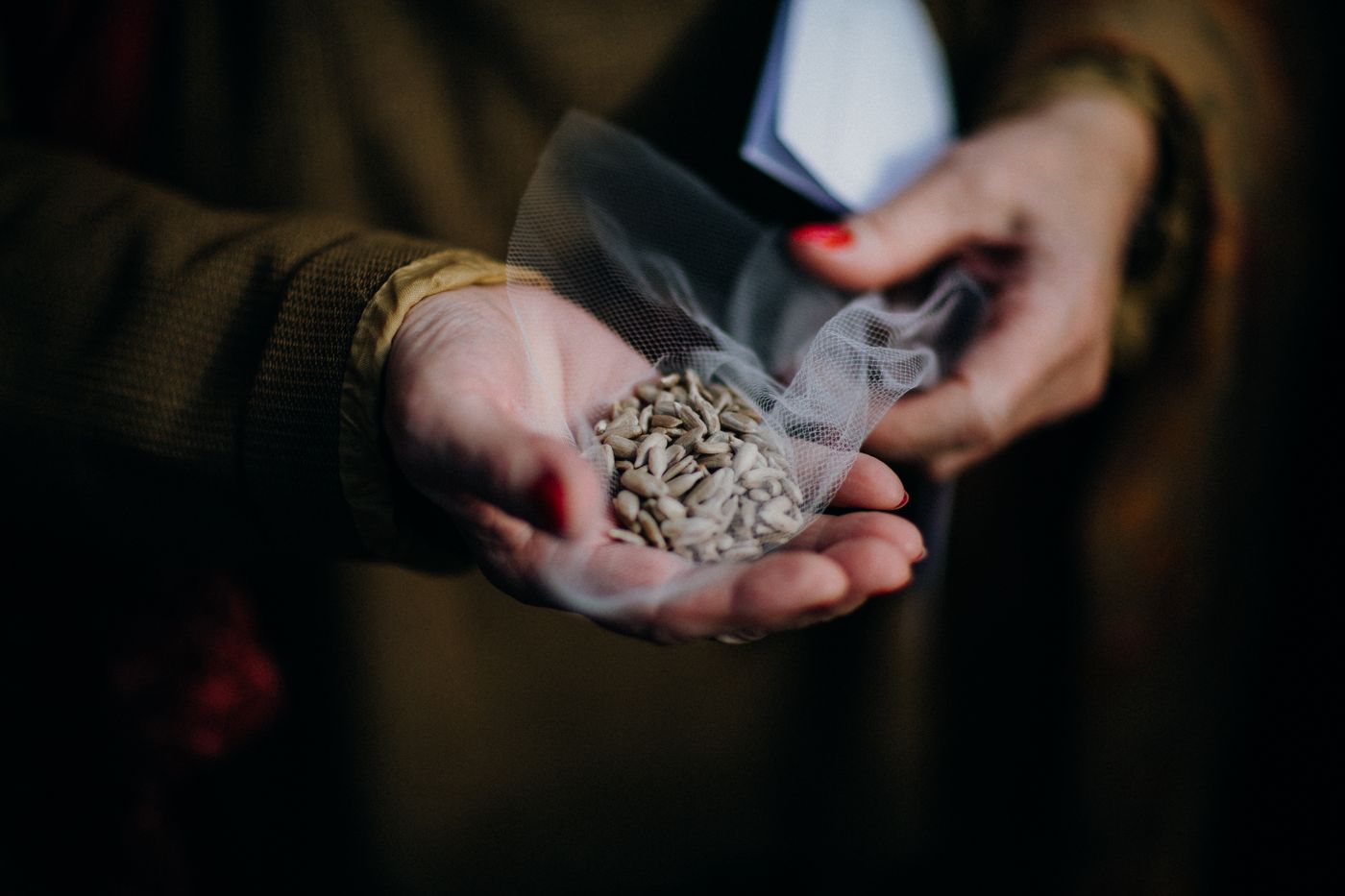 Hands holding a small mesh bag of sunflower seeds