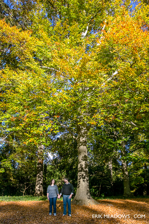Engagement Photography spot at Callanwolde Fine Arts Center in Atlanta
