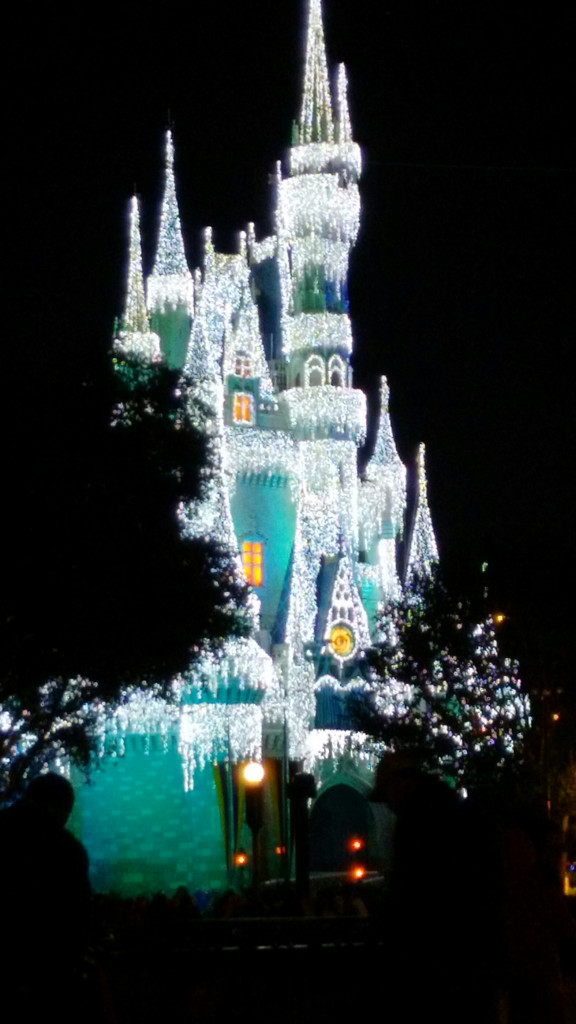 Frozen Castle at Disney World