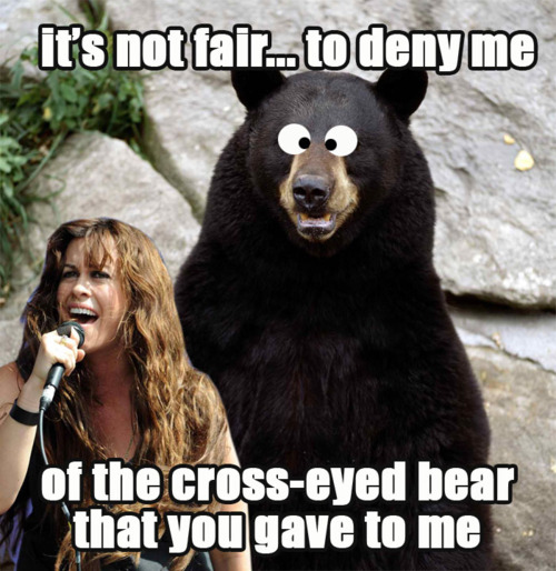 Misunderstood song lyrics Alanis Cross eyed bear that you gave to me